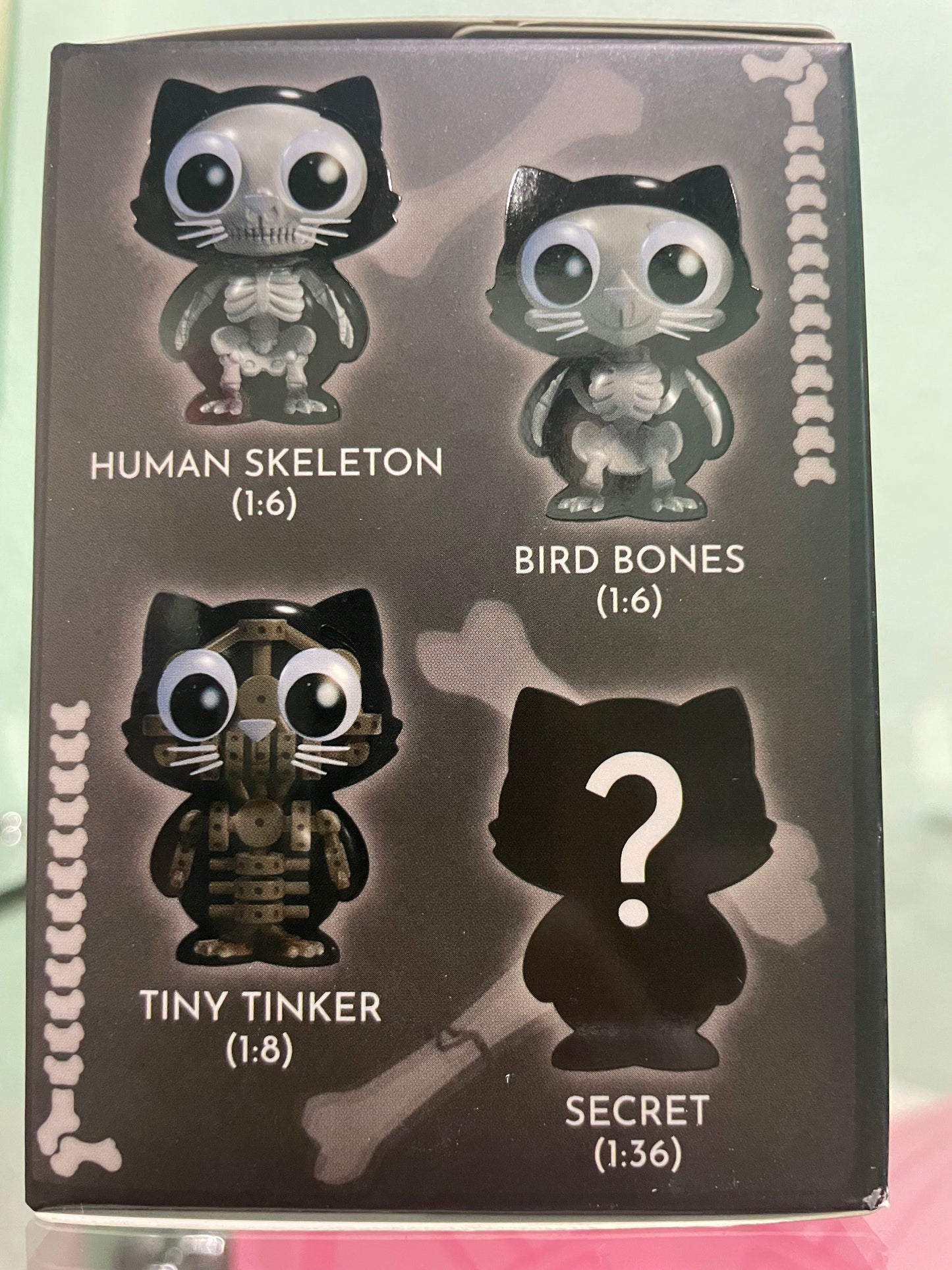 Catscans (Bare Bones) Blind Box