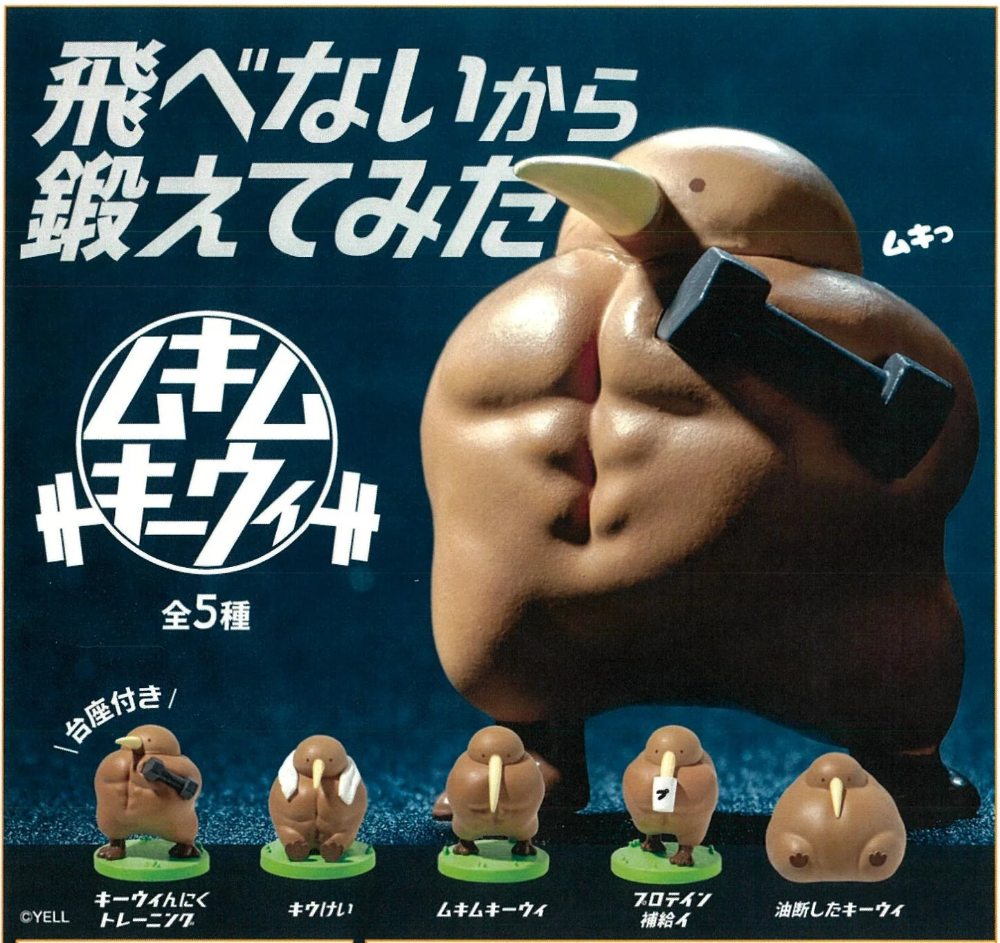 Muscular Kiwi Blind Box