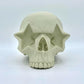 RON ENGLISH "STAR SKULL"