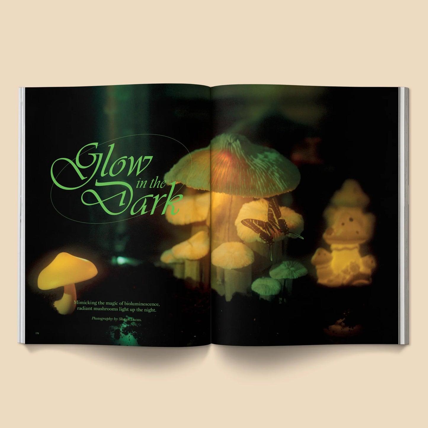 Mushroom People Magazine